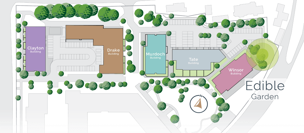 site plan image